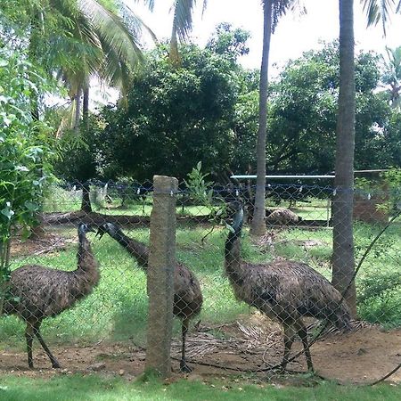 Mango Village Farm House Nelliyampathy Екстер'єр фото
