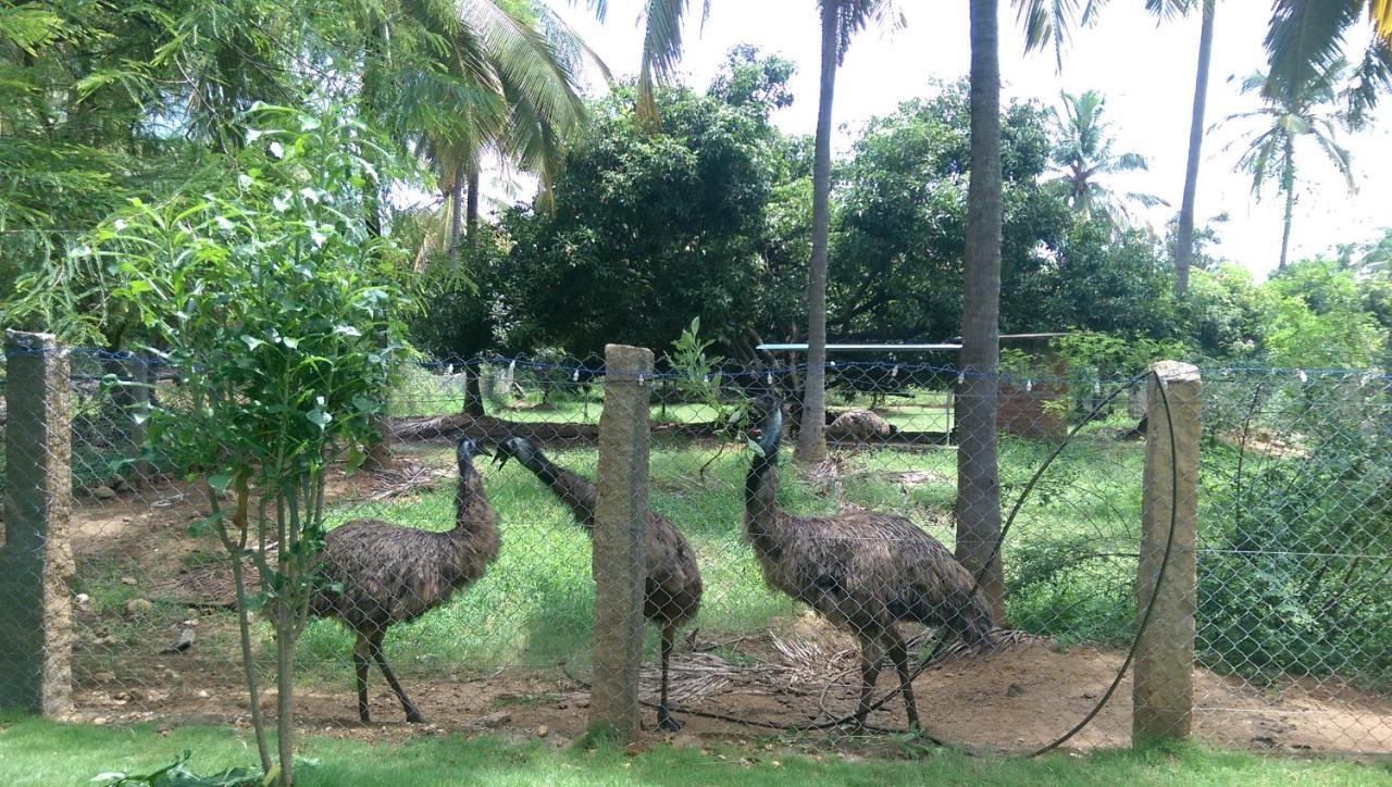 Mango Village Farm House Nelliyampathy Екстер'єр фото